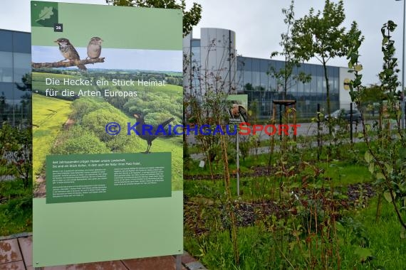 Klima-Arena Sinsheim Eröffnung 07.10-2019  (© Siegfried Lörz)